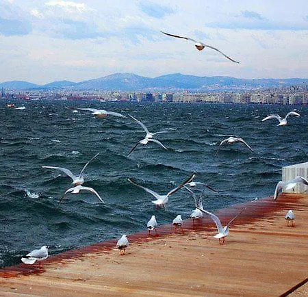 Felicity Blue Apartment Thessaloniki